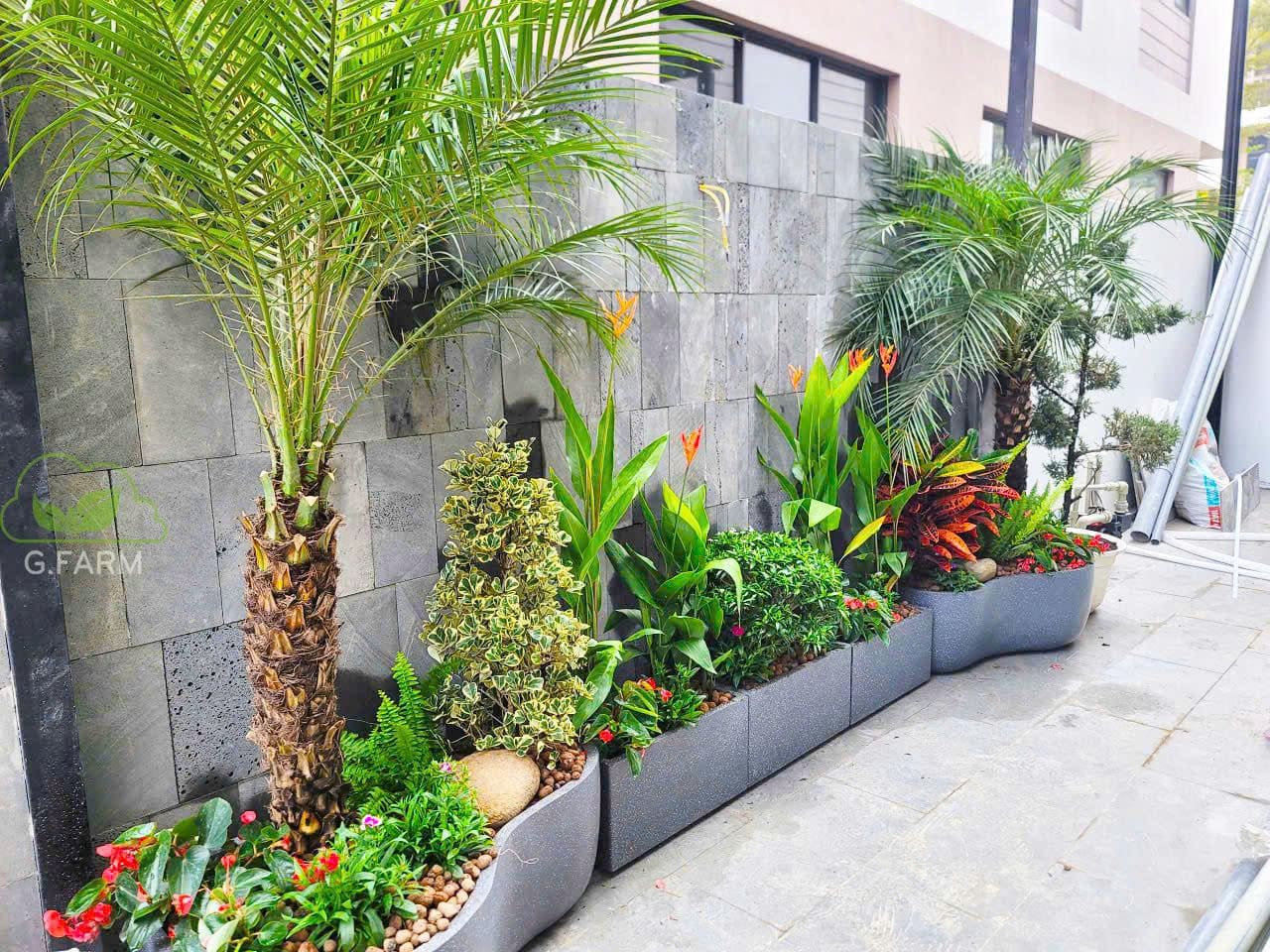 Vườn tiểu cảnh đẹp anh Tuân Ocean Park 3